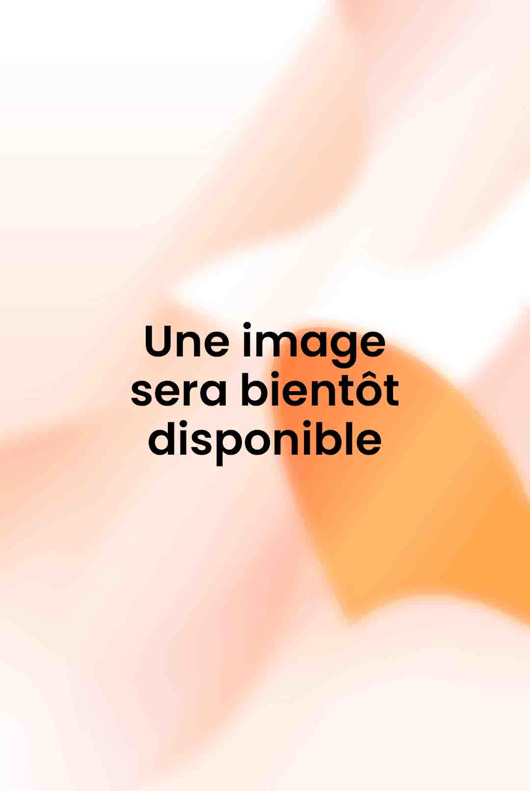 snoopy prend de la hauteur.